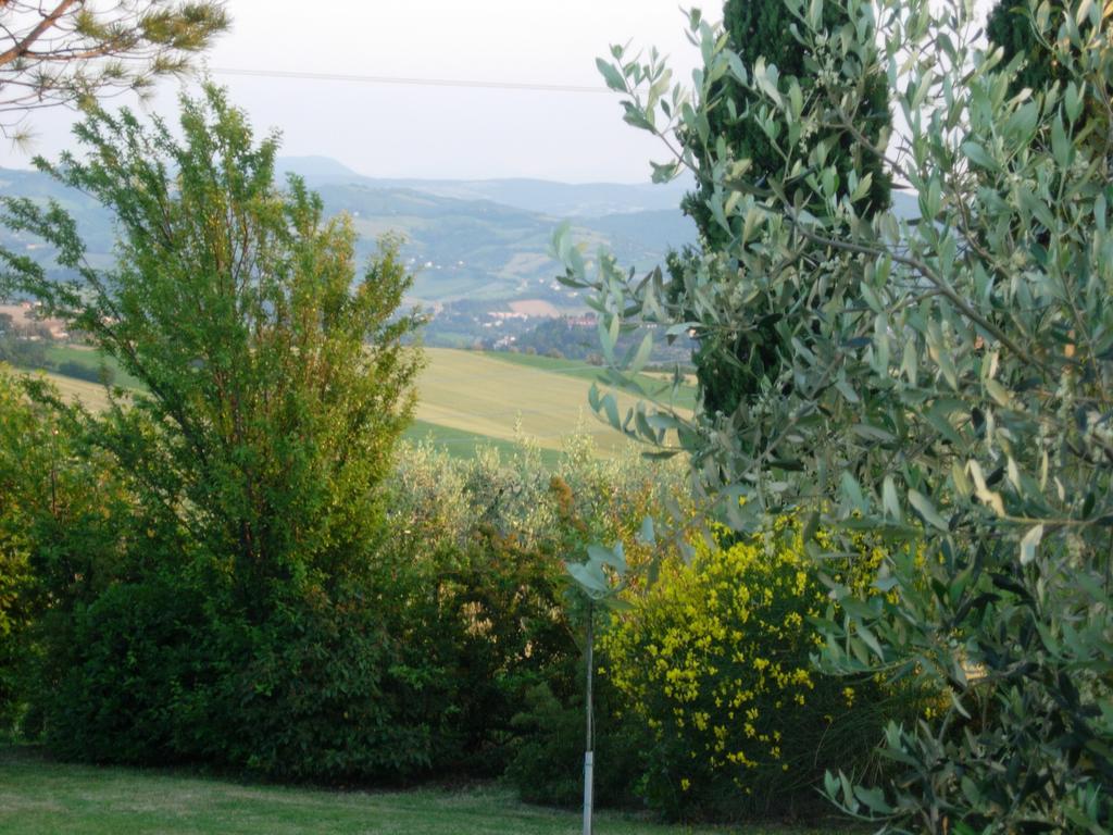 B&B La Torretta Tavullia Exterior photo